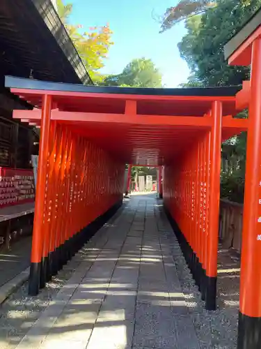 三光稲荷神社の鳥居