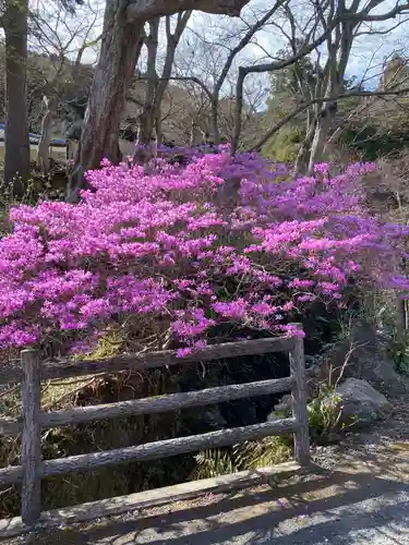 普門寺(切り絵御朱印発祥の寺)の自然