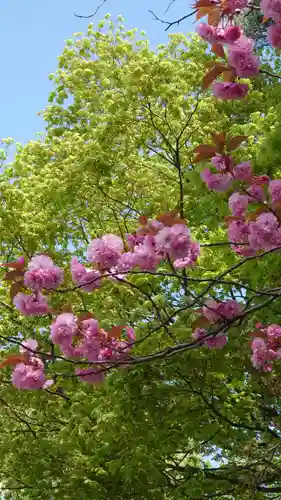 相馬神社の自然