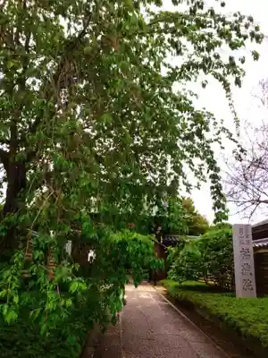 福蔵院(東京都)