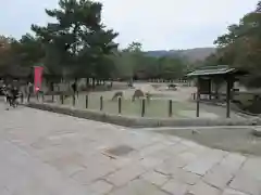 東大寺の動物