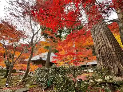永源寺(滋賀県)