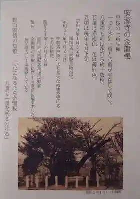 照源寺(三重県)