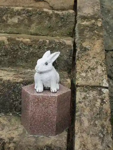 出雲大社神楽殿の狛犬
