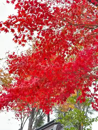 小野神社(東京都)