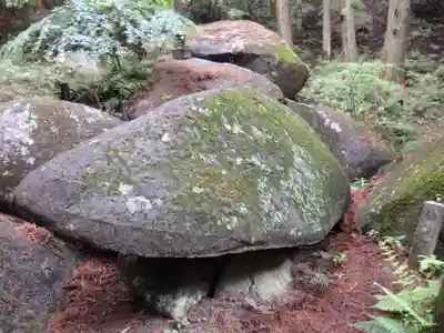 名草厳島神社の自然