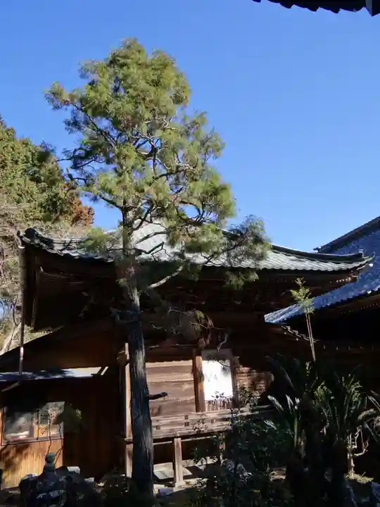 方廣寺(静岡県)