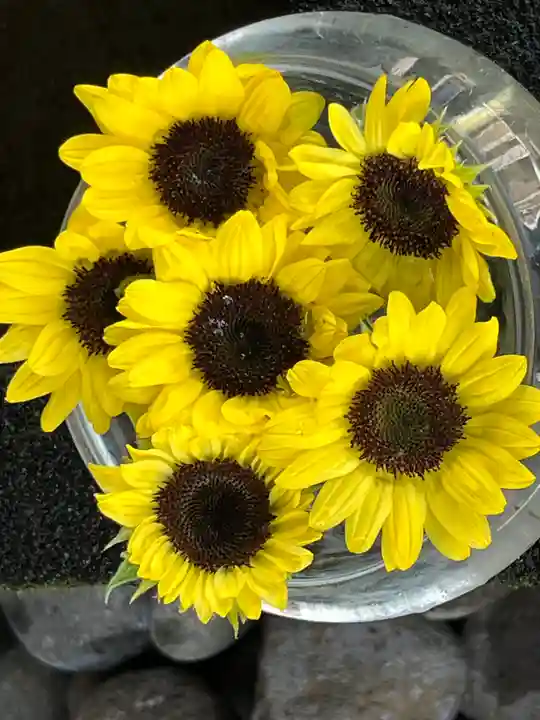 上尾御嶽神社の手水舎