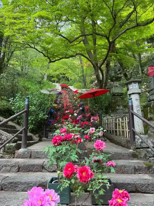 長谷寺の{uncategorized: "未分類", other: "その他", undefined: "問題あり", building: "その他建物", grave: "お墓", sacred_gate: "鳥居", guardian: "狛犬", statue: "像", buddha: "仏像", history: "歴史", nature: "自然", garden: "庭園", animal: "動物", pagoda: "塔", temizu: "手水舎", mountain_gate: "山門・神門", sanctuary: "本殿・本堂", subordinate: "末社・摂社", art: "芸術", scenery: "景色", jizo: "地蔵", ema: "絵馬", goshuin: "御朱印", omikuji: "おみくじ", items: "授与品その他", amulet: "お守り", goshuincho: "御朱印帳", eats: "食事", festival: "お祭り", votive_dance: "神楽", shichigosan: "七五三参", wedding: "結婚式", experience: "体験その他", initially: "初詣", around: "周辺", anti_infection: "感染症対策"}