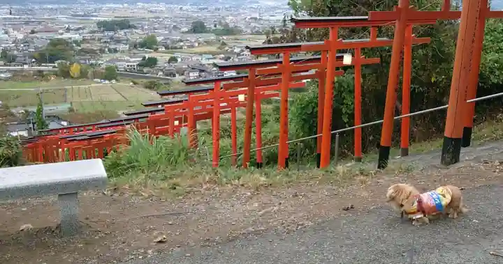 浮羽稲荷神社の{uncategorized: "未分類", other: "その他", undefined: "問題あり", building: "その他建物", grave: "お墓", sacred_gate: "鳥居", guardian: "狛犬", statue: "像", buddha: "仏像", history: "歴史", nature: "自然", garden: "庭園", animal: "動物", pagoda: "塔", temizu: "手水舎", mountain_gate: "山門・神門", sanctuary: "本殿・本堂", subordinate: "末社・摂社", art: "芸術", scenery: "景色", jizo: "地蔵", ema: "絵馬", goshuin: "御朱印", omikuji: "おみくじ", items: "授与品その他", amulet: "お守り", goshuincho: "御朱印帳", eats: "食事", festival: "お祭り", votive_dance: "神楽", shichigosan: "七五三参", wedding: "結婚式", experience: "体験その他", initially: "初詣", around: "周辺", anti_infection: "感染症対策"}