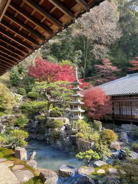 興聖寺(興聖寶林禅寺)(京都府)