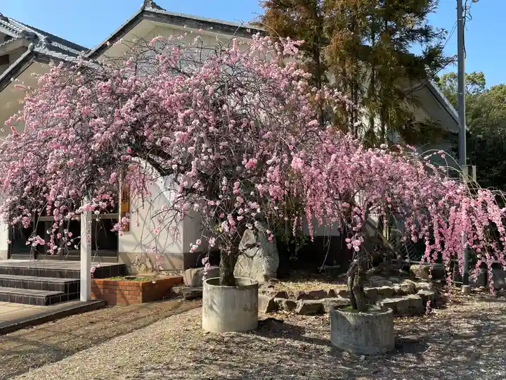 和泉國一之宮 大鳥大社(大阪府)