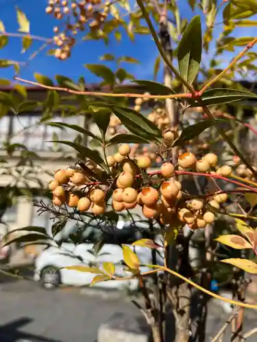 八剣神社(長野県)
