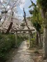 松陰神社の鳥居
