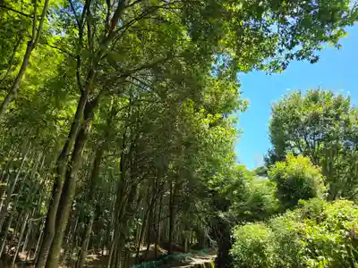 直指庵(京都府)