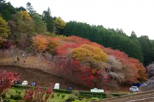 零羊崎神社の自然