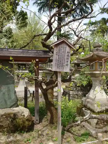 北野天満宮の庭園