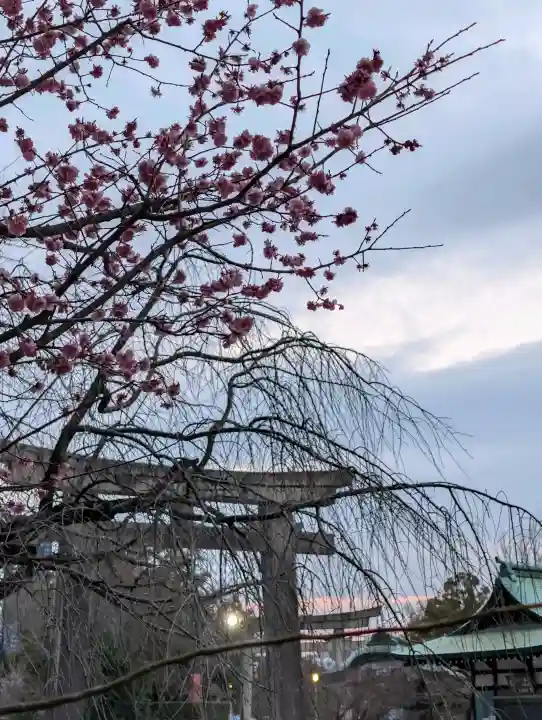 豊國神社の{uncategorized: "未分類", other: "その他", undefined: "問題あり", building: "その他建物", grave: "お墓", sacred_gate: "鳥居", guardian: "狛犬", statue: "像", buddha: "仏像", history: "歴史", nature: "自然", garden: "庭園", animal: "動物", pagoda: "塔", temizu: "手水舎", mountain_gate: "山門・神門", sanctuary: "本殿・本堂", subordinate: "末社・摂社", art: "芸術", scenery: "景色", jizo: "地蔵", ema: "絵馬", goshuin: "御朱印", omikuji: "おみくじ", items: "授与品その他", amulet: "お守り", goshuincho: "御朱印帳", eats: "食事", festival: "お祭り", votive_dance: "神楽", shichigosan: "七五三参", wedding: "結婚式", experience: "体験その他", initially: "初詣", around: "周辺", anti_infection: "感染症対策"}