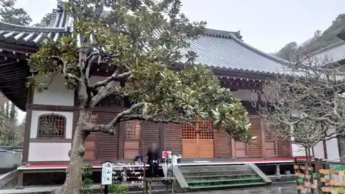 佛日庵の本殿・本堂