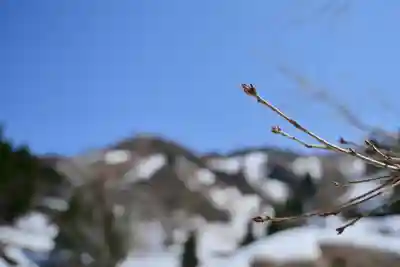 高龍神社　奥之院(新潟県)