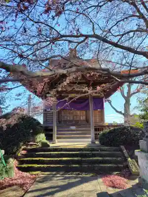 金剛定寺(栃木県)