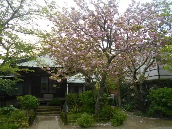 極楽寺(霊鷲山感應院極楽律寺)のその他建物