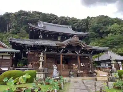 三室戸寺の本殿・本堂