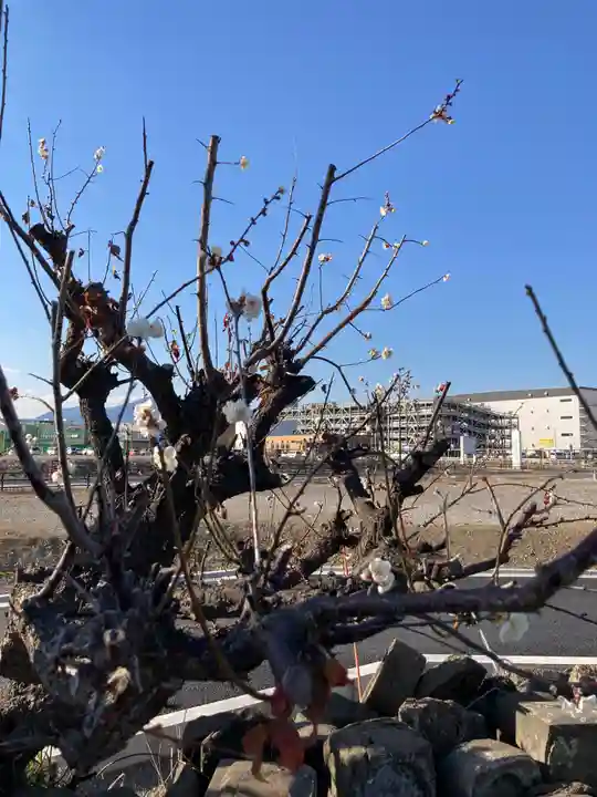 隆盛寺(神奈川県)