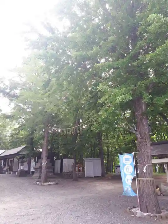 星置神社の自然