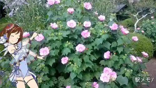 海蔵寺(神奈川県)