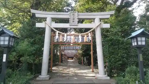 星川杉山神社の鳥居