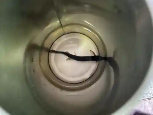 瀧谷不動尊　明王寺(大阪府)