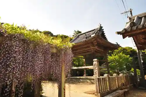 藤井寺(徳島県)