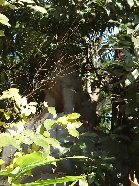 ときわ台天祖神社(東京都)