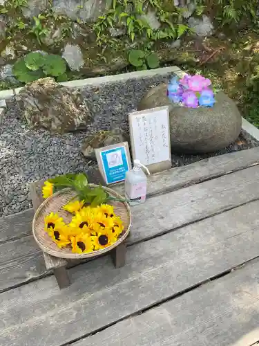 正寿院(京都府)