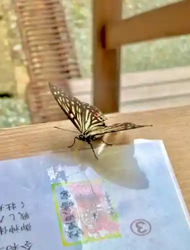 蚊里田八幡宮(長野県)