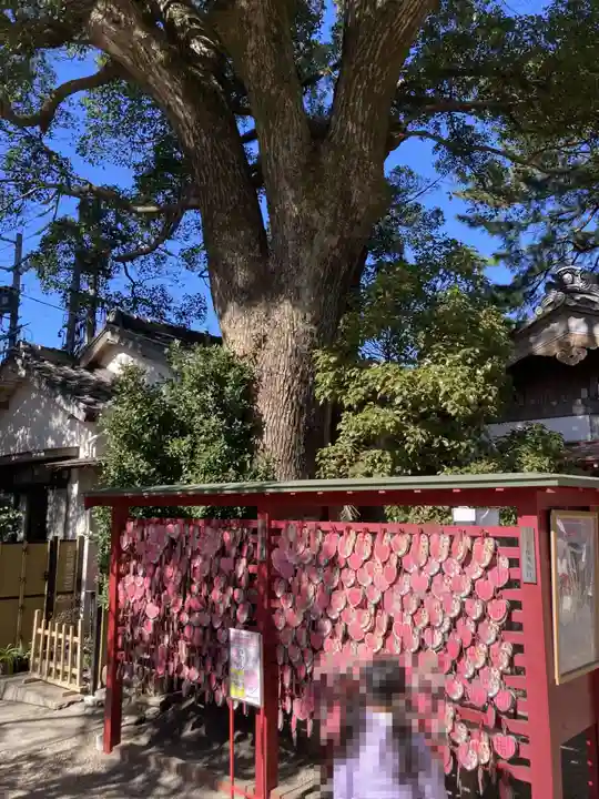 菅生神社(愛知県)