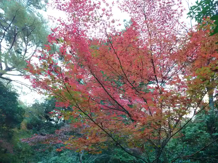 厳島神社(広島県)