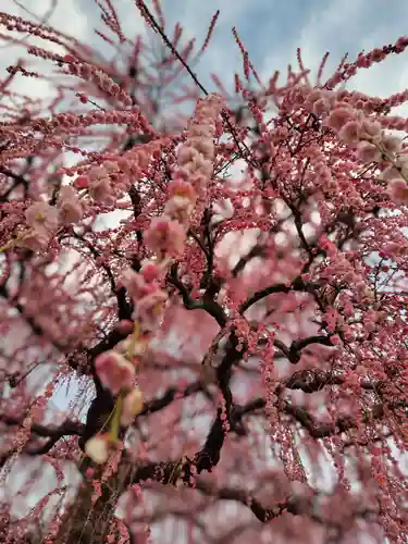 伊勢神宮内宮（皇大神宮）(三重県)