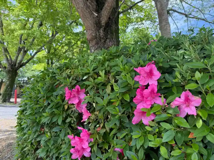 美奈宜神社(福岡県)