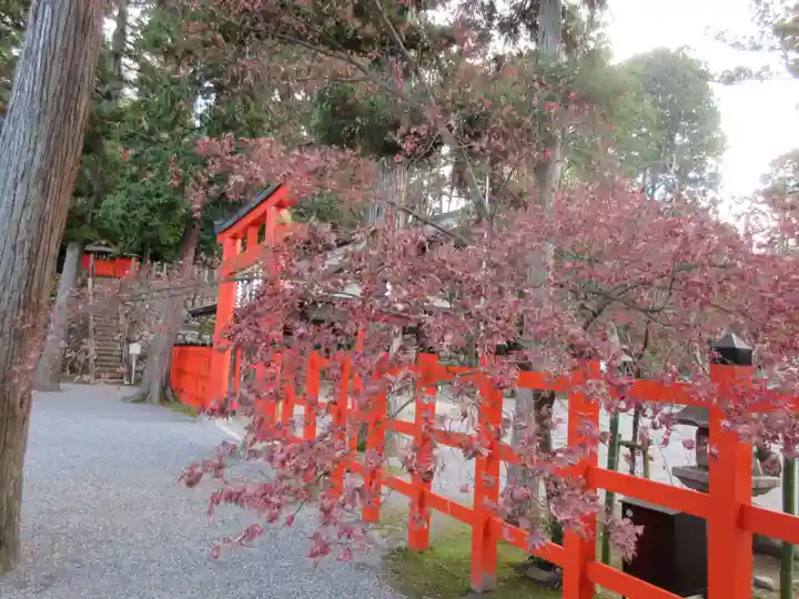 吉田神社のその他建物