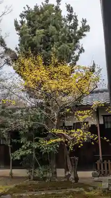 興聖寺(京都府)