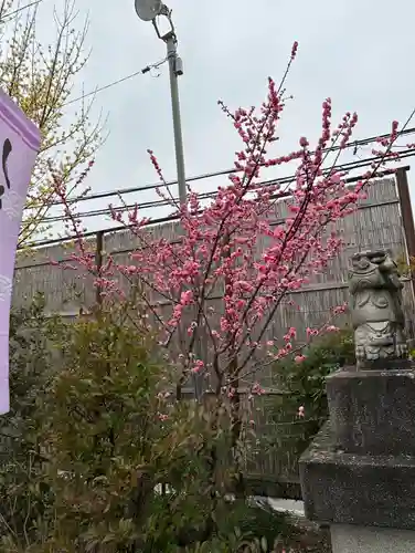 鹿島神社(栃木県)