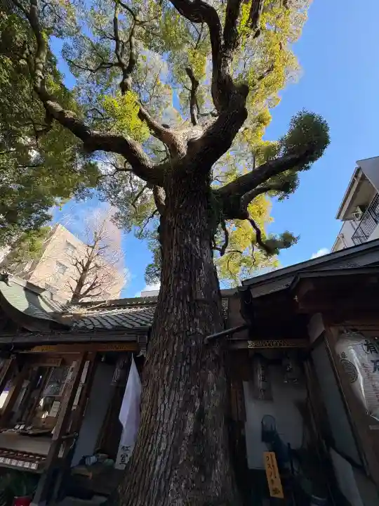 若一神社の{uncategorized: "未分類", other: "その他", undefined: "問題あり", building: "その他建物", grave: "お墓", sacred_gate: "鳥居", guardian: "狛犬", statue: "像", buddha: "仏像", history: "歴史", nature: "自然", garden: "庭園", animal: "動物", pagoda: "塔", temizu: "手水舎", mountain_gate: "山門・神門", sanctuary: "本殿・本堂", subordinate: "末社・摂社", art: "芸術", scenery: "景色", jizo: "地蔵", ema: "絵馬", goshuin: "御朱印", omikuji: "おみくじ", items: "授与品その他", amulet: "お守り", goshuincho: "御朱印帳", eats: "食事", festival: "お祭り", votive_dance: "神楽", shichigosan: "七五三参", wedding: "結婚式", experience: "体験その他", initially: "初詣", around: "周辺", anti_infection: "感染症対策"}