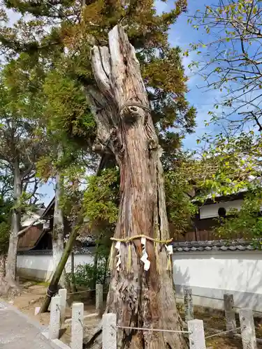 戎神社のその他建物