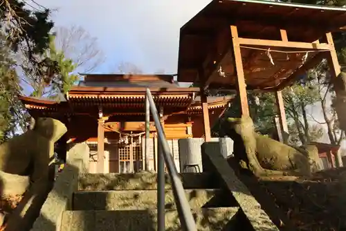 阿久津「田村神社」（郡山市阿久津町）旧社名：伊豆箱根三嶋三社の狛犬