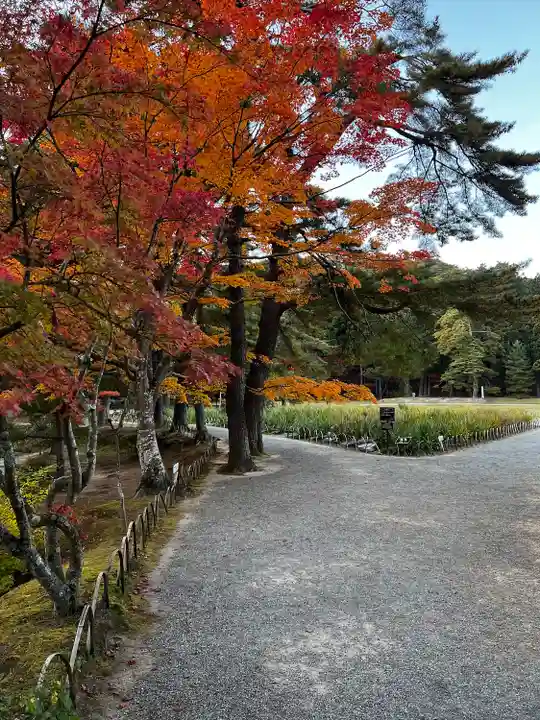 毛越寺(岩手県)