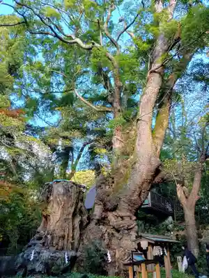 湯前神社(静岡県)