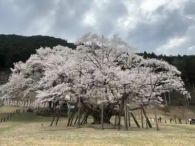淡墨観音(岐阜県)