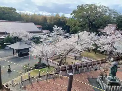 多陀寺(島根県)